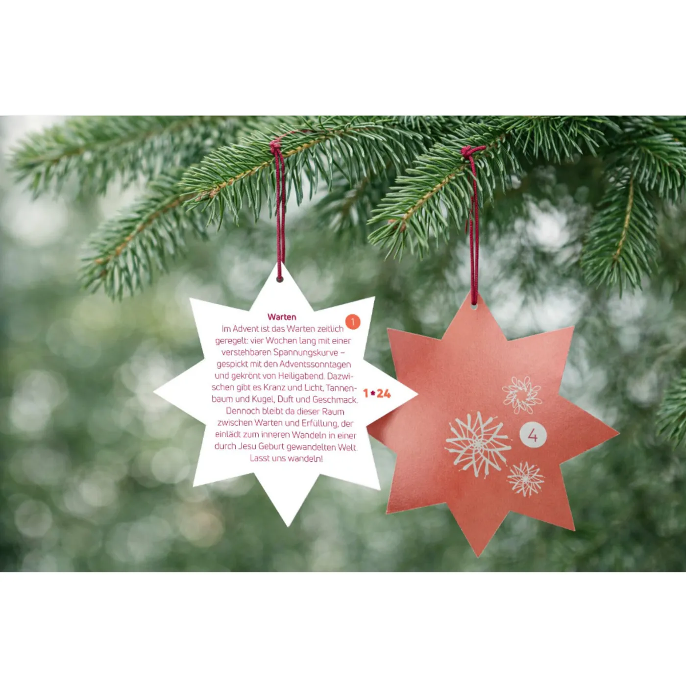 Adventsflüstern