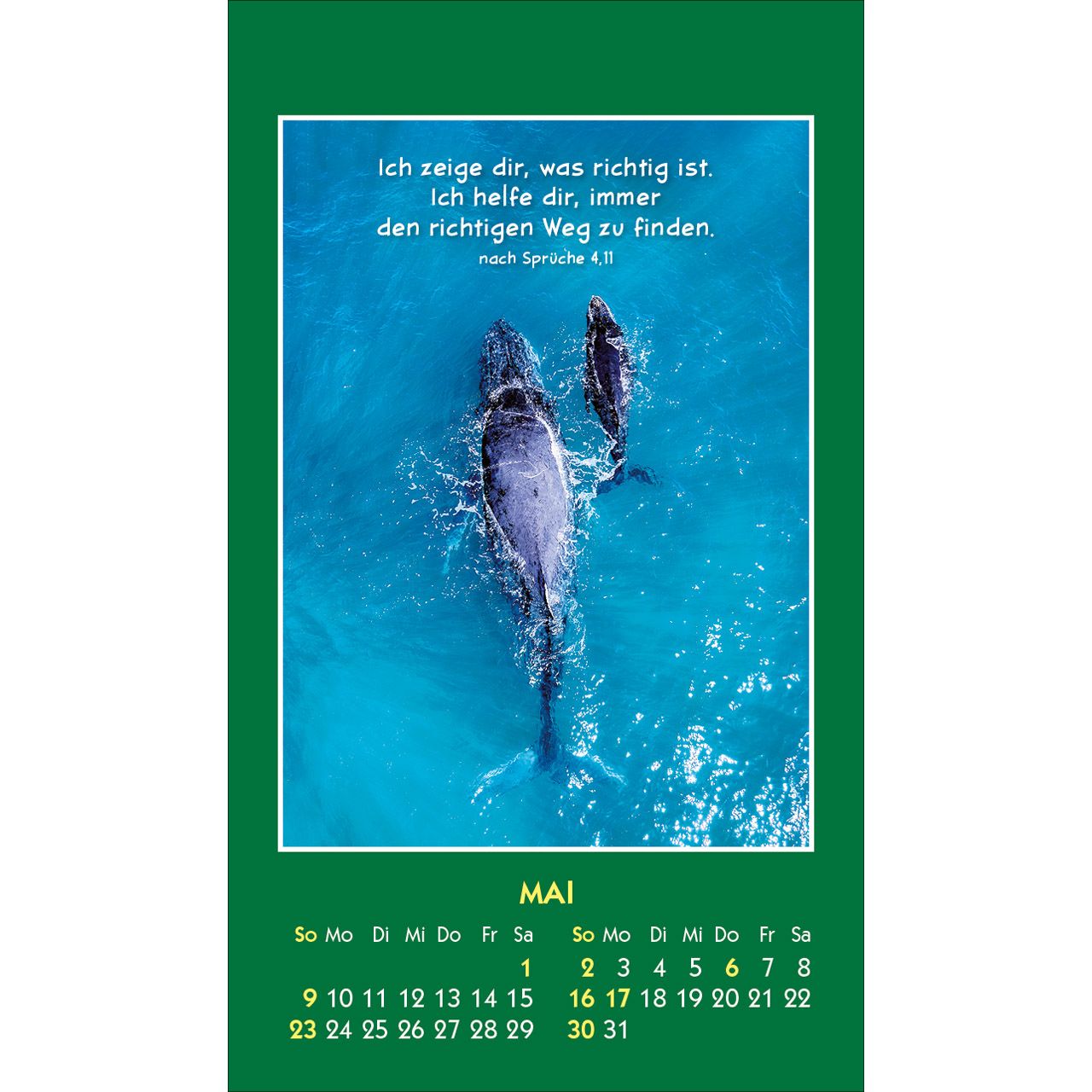 Hallo Du 2027 - Aufkleber-Kalender
