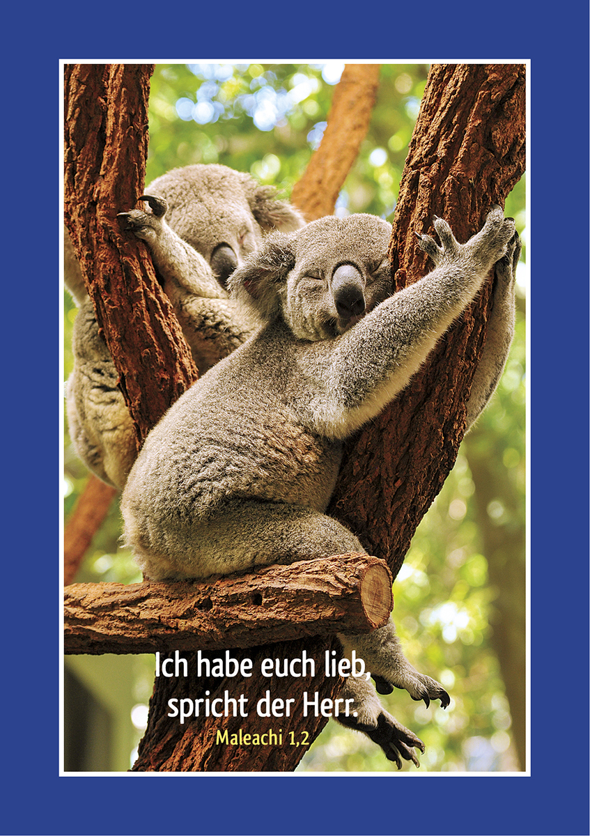 Tierisch schön