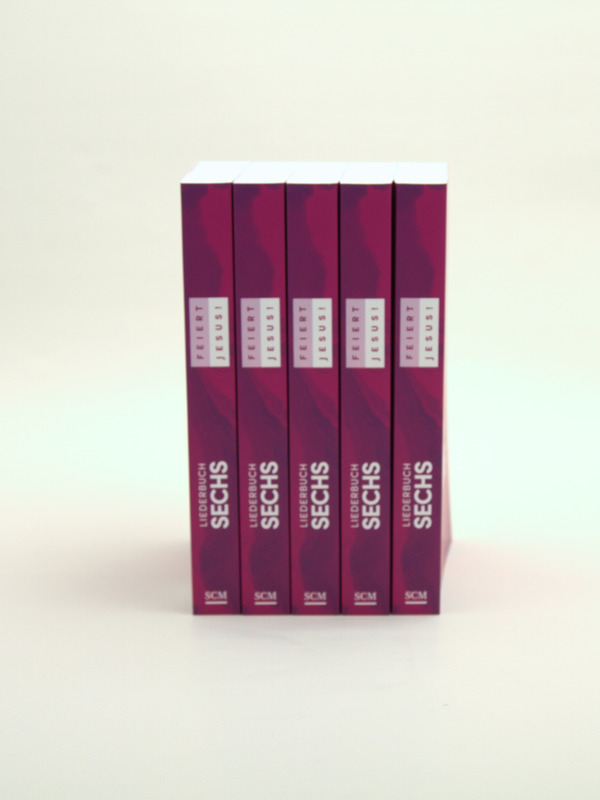 Feiert Jesus! 6 (Paperback)