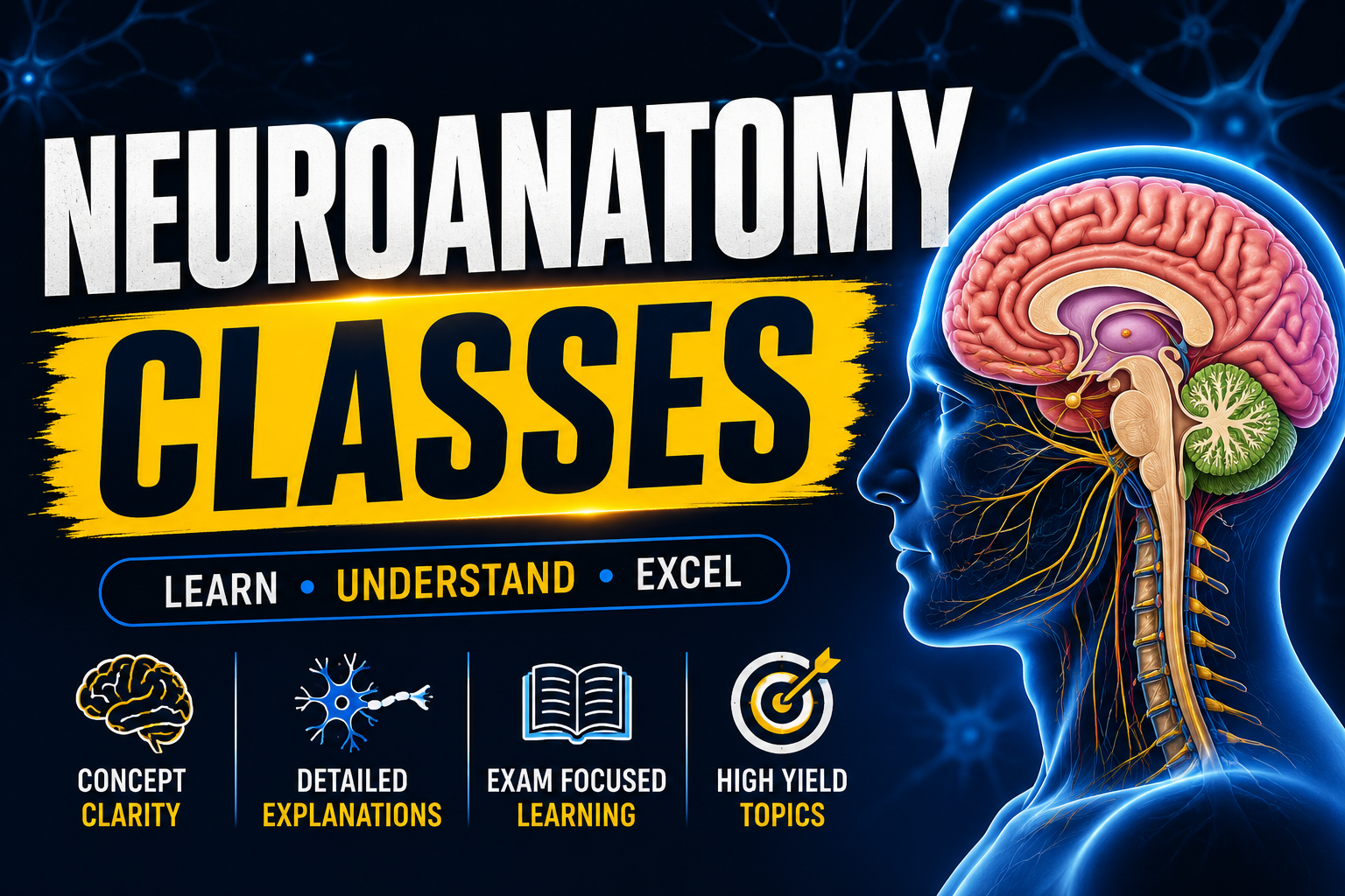 Neuroanatomy Revision Classes