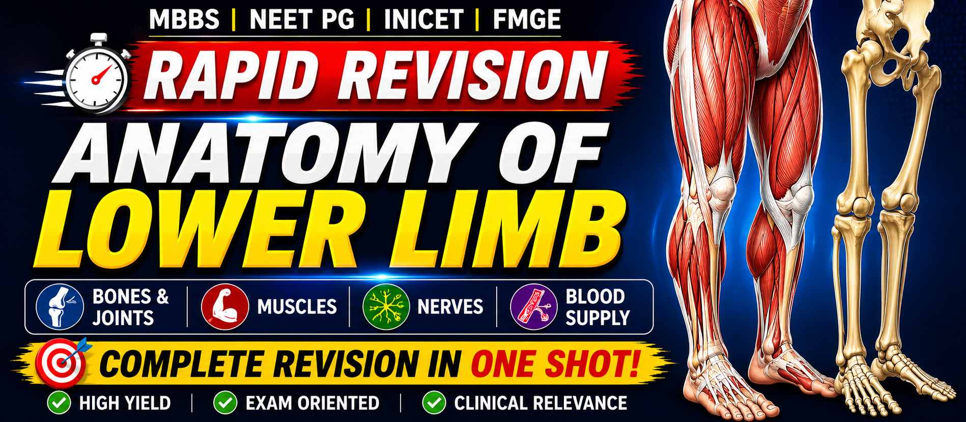 RAPID REVISION OF LOWER LIMB