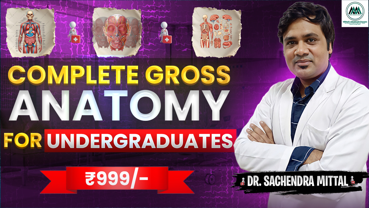 Gross Anatomy for Undergraduates 