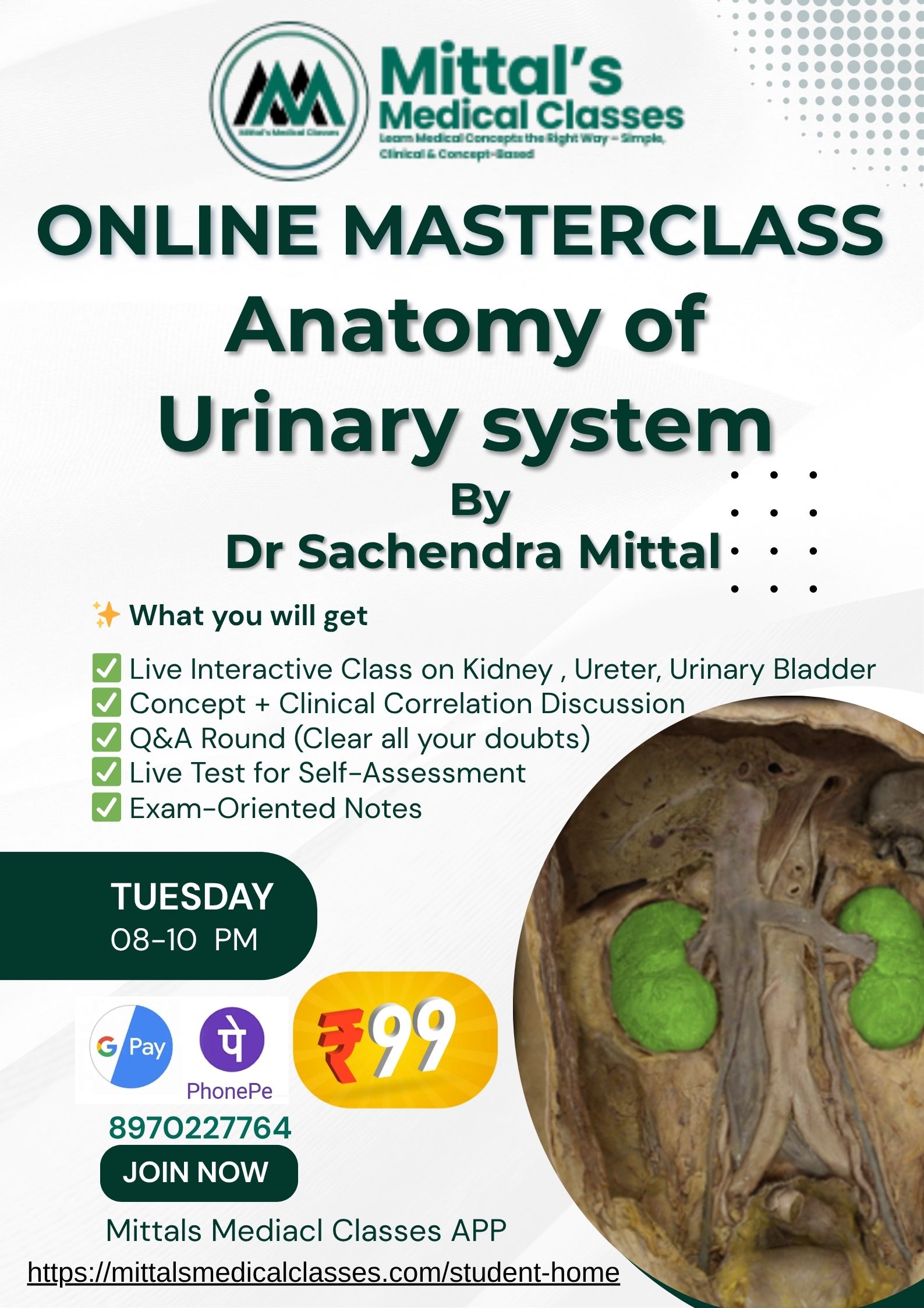 Online Masterclass Anatomy of Urinary System (14/04/26)
