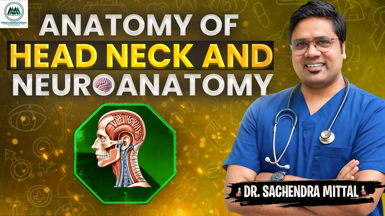 Head Neck & Neuroanatomy 