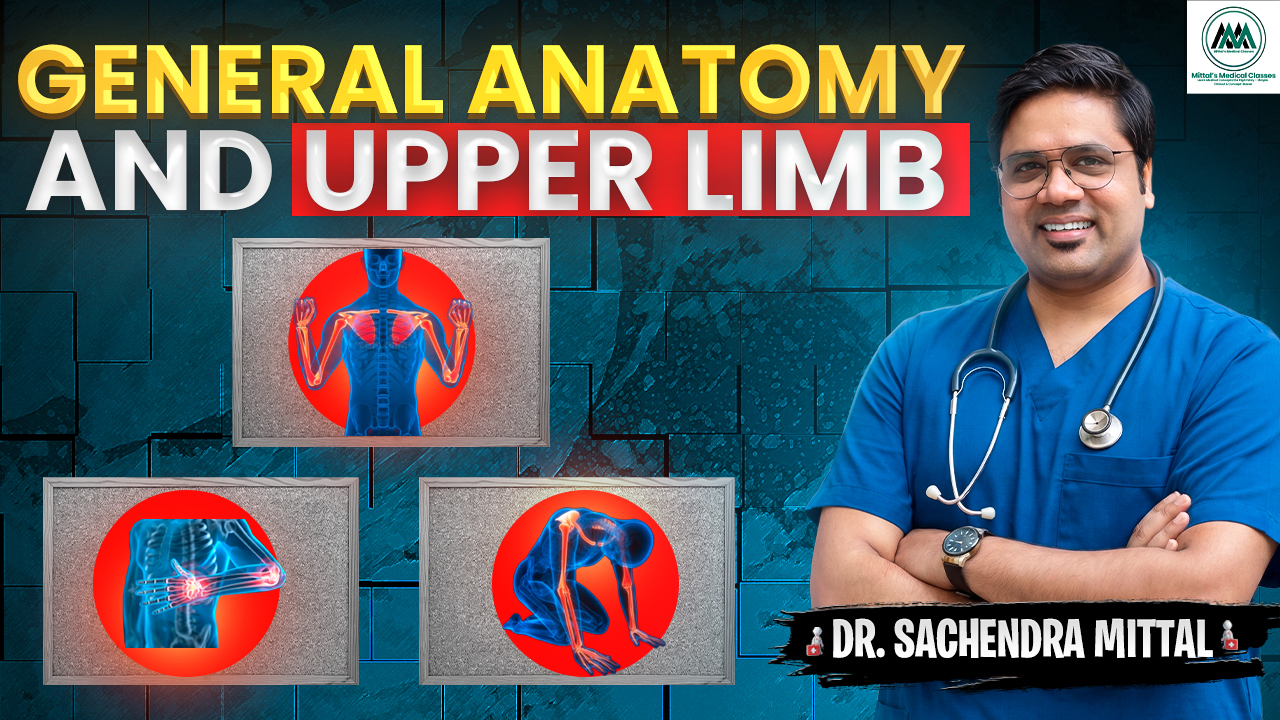 Basic & Upper Limb Gross Anatomy for Undergraduates 