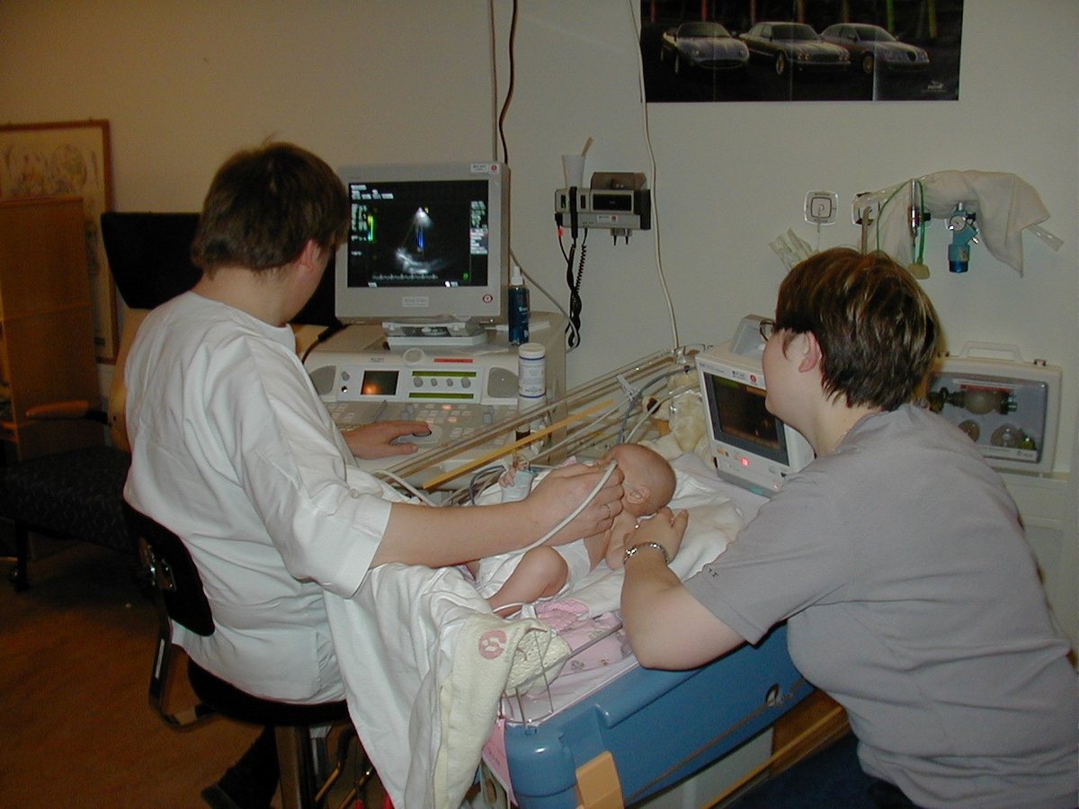 Breaking in: how ultrasound smuggles drugs past the blood–brain barrier