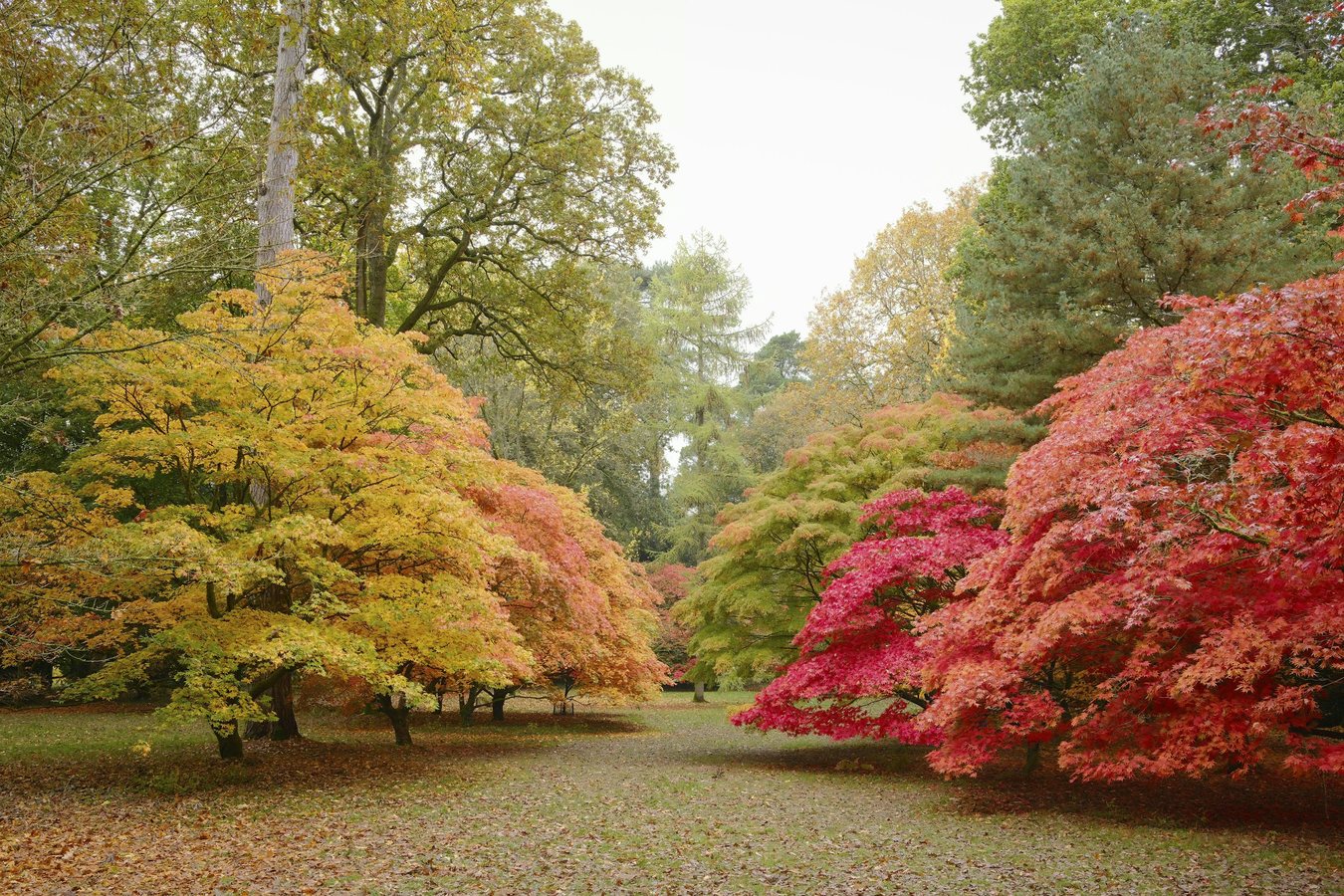 September stays changeable, with drier spells more likely later