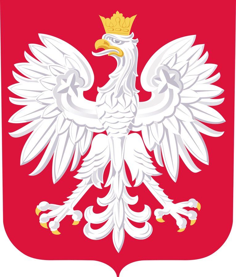 Dzień po remisie z Bośnią polski piłkarz odesłany do domu. Już nie zagra