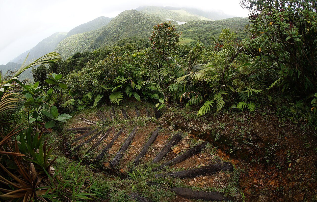 Dominica updates management plans for Morne Trois Pitons and Morne Diablotin
