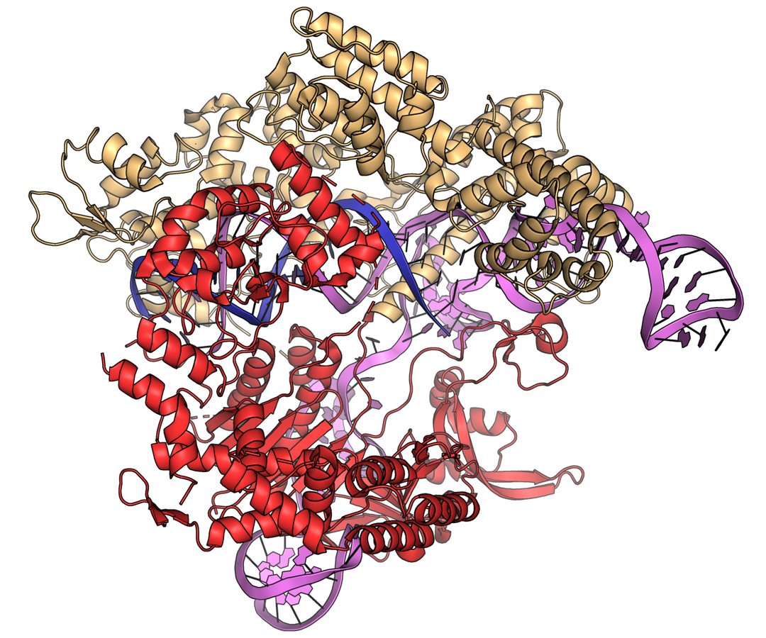 [Editorial] Gene-editing therapies: delivering safely for patients