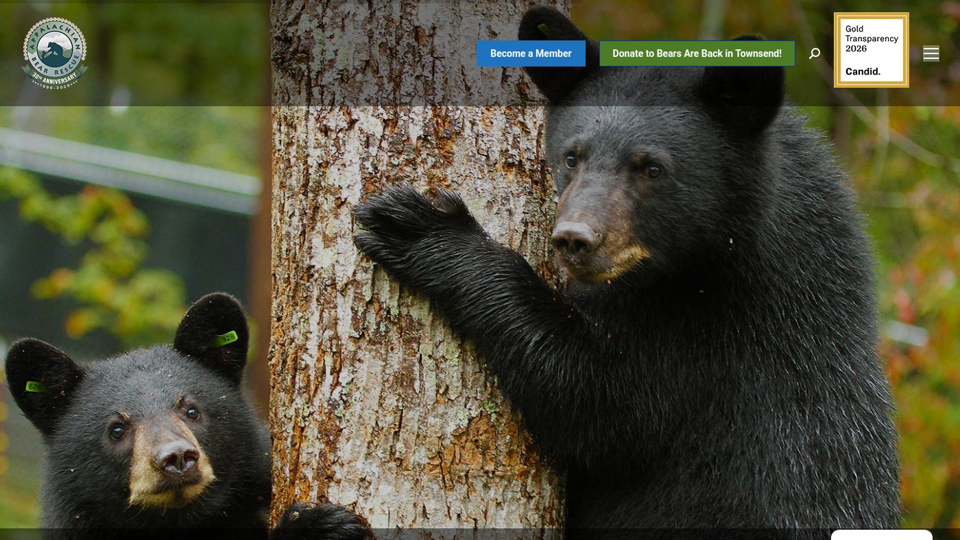 The home page of appalachianbearrescue.org