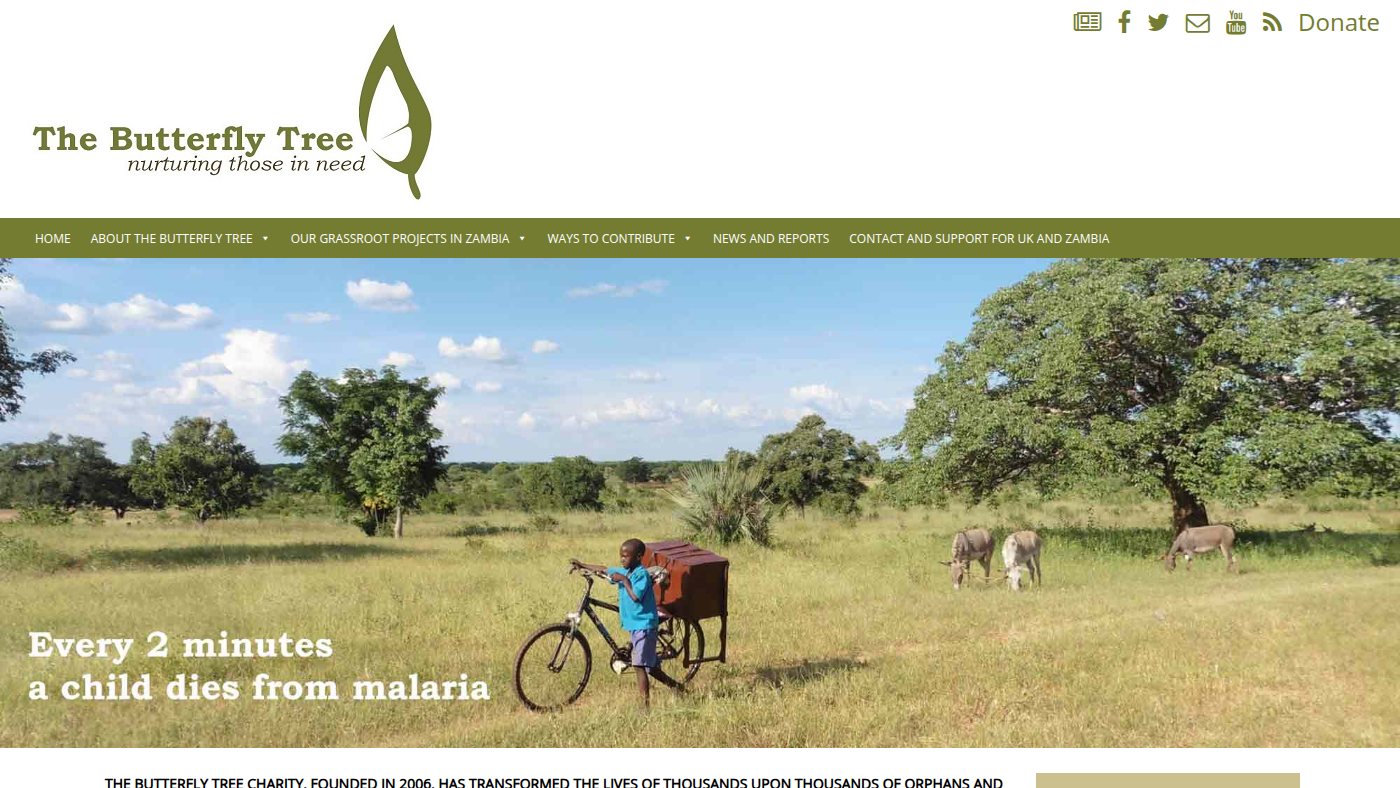 The home page of thebutterflytree.org.uk