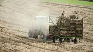 Agriculture : l’UE négocie une future PAC plus flexible, au risque d’affaiblir son ambition écologique