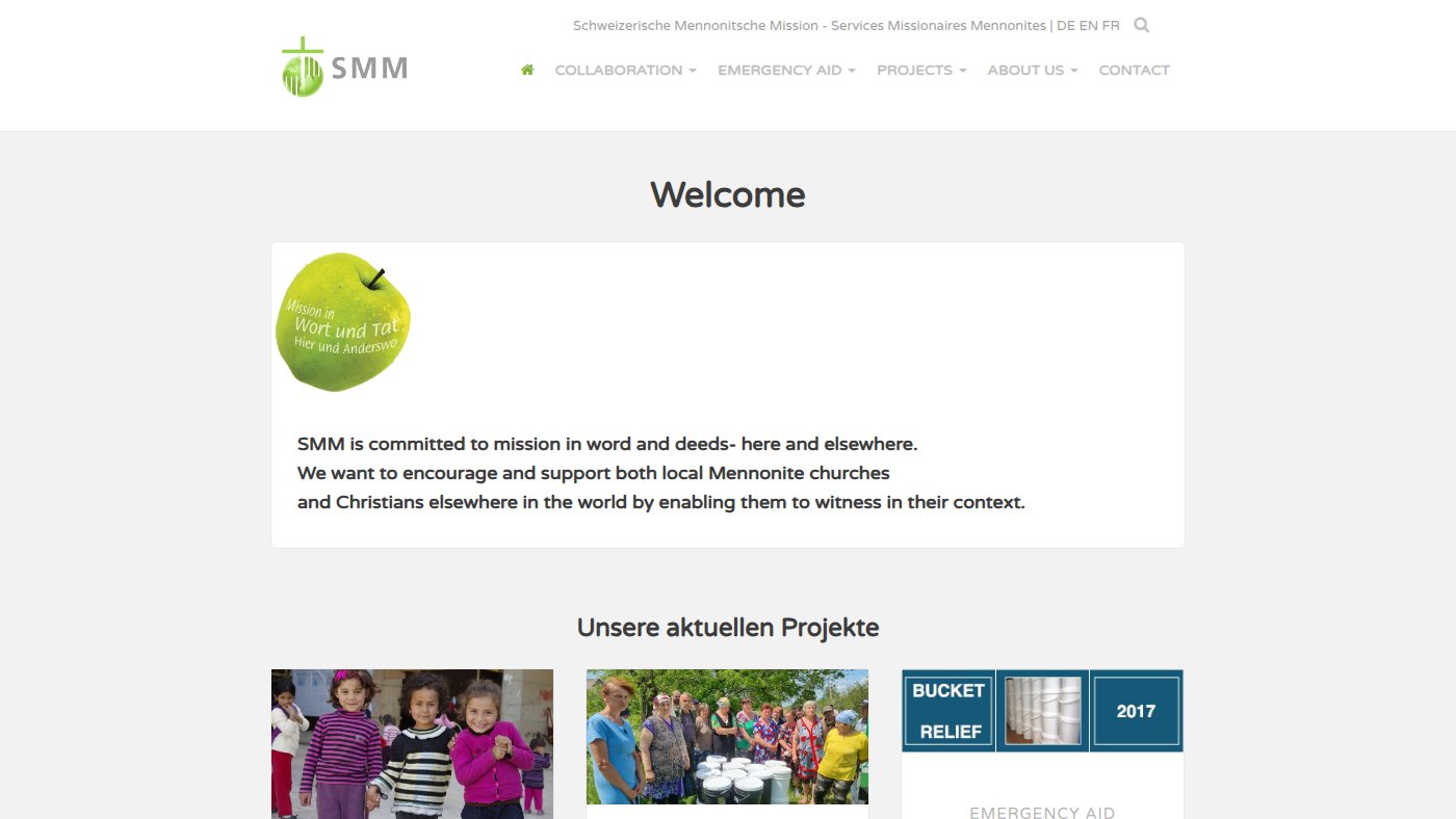 The home page of smm-smm.ch