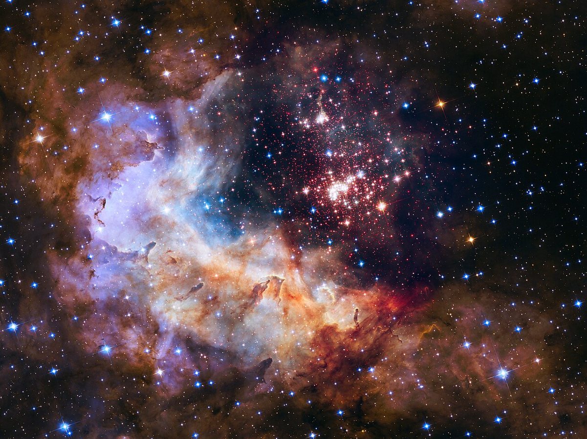 Westerlund 2 e le sue nane brune