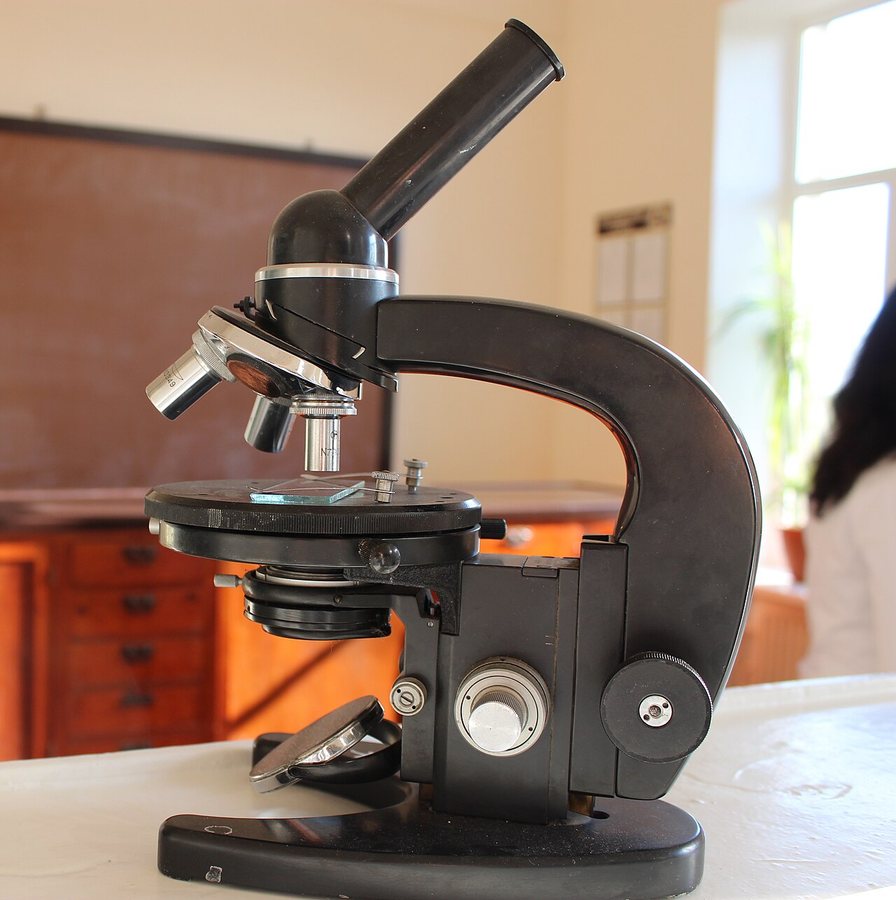 Six biology breakthroughs that should have won a Nobel Prize—but didn’t