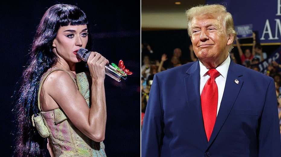 Katy Perry blasts White House for using hit song 'Firework' she sold in $225M catalog deal