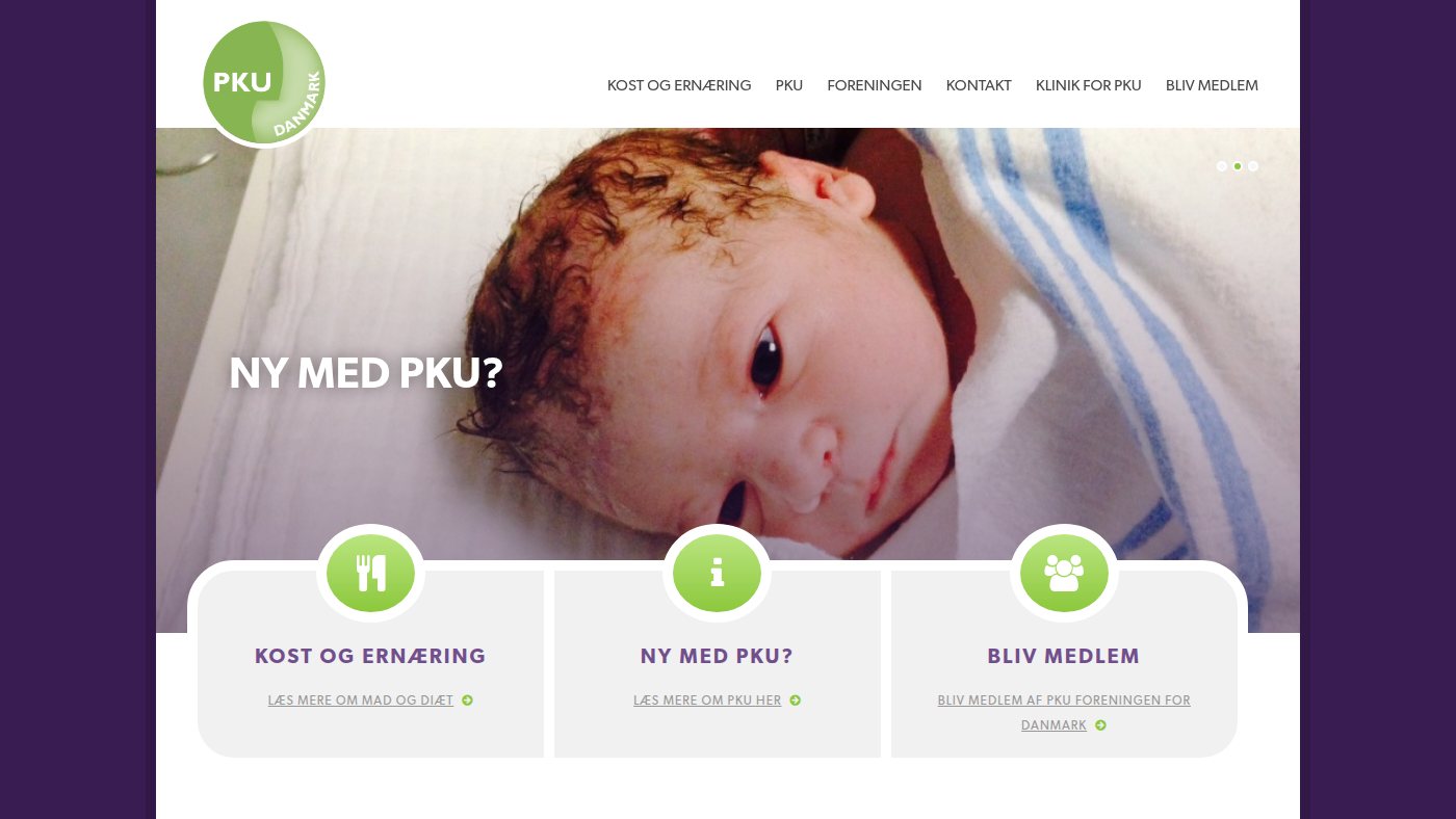 The home page of pku.dk