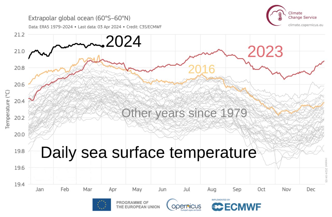 Réchauffement climatique : la température de la surface des océans bat un nouveau record