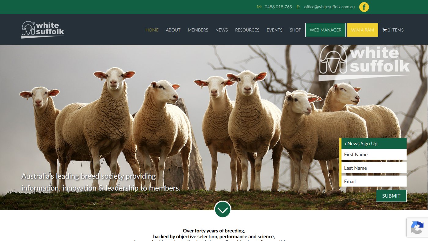 The home page of whitesuffolk.com.au