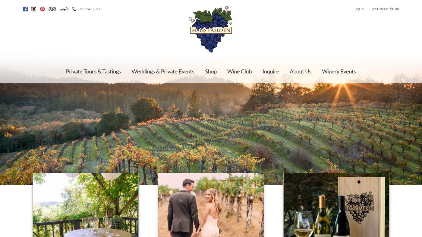 The home page of hansfahden.com