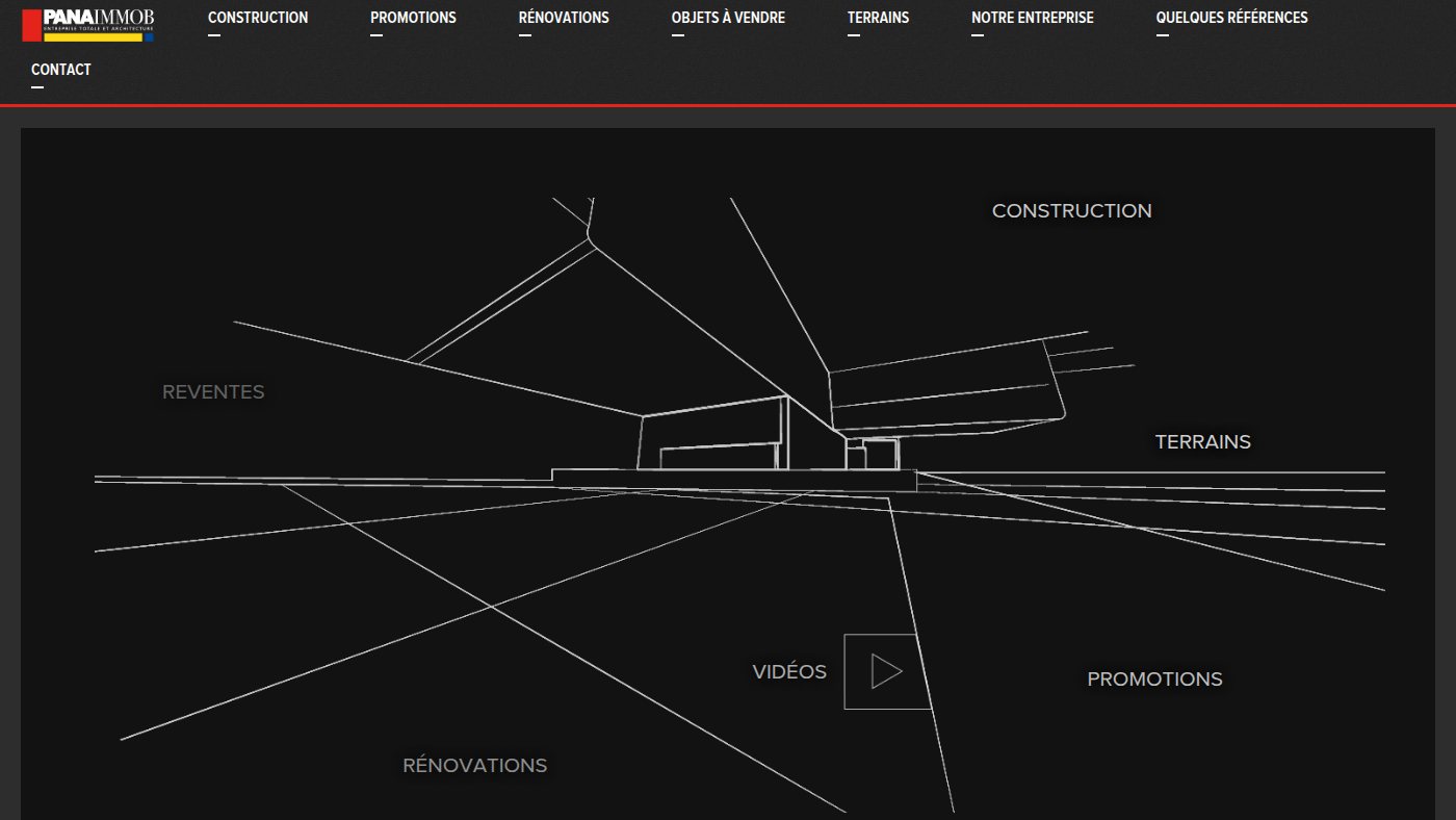 The home page of panaimmob.ch