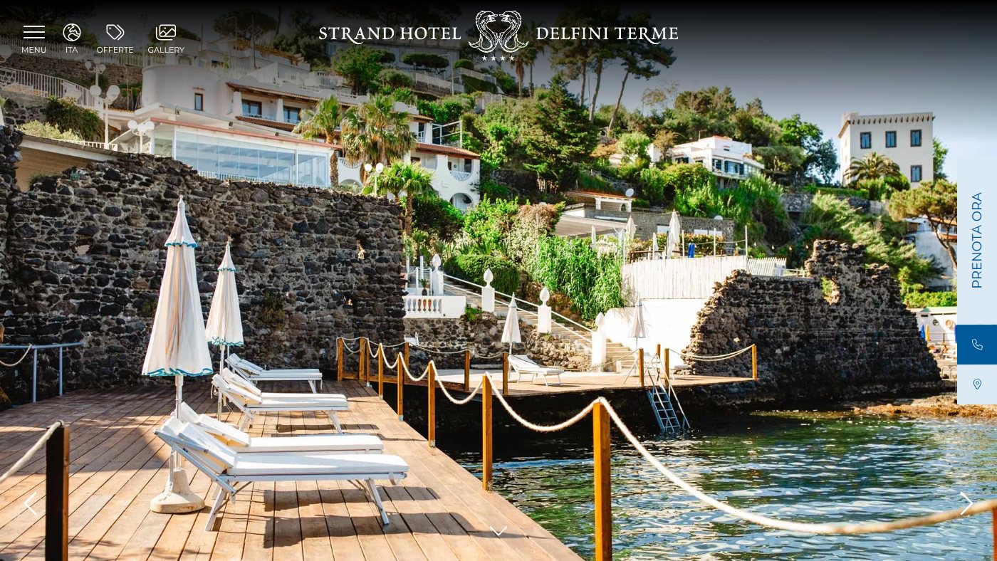 The home page of hoteldelfini.it