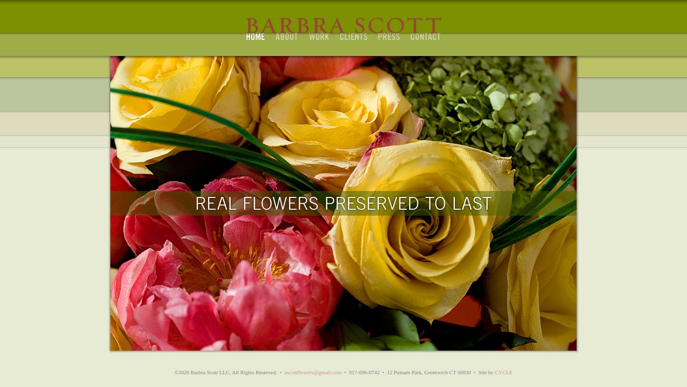 The home page of barbrascott.com