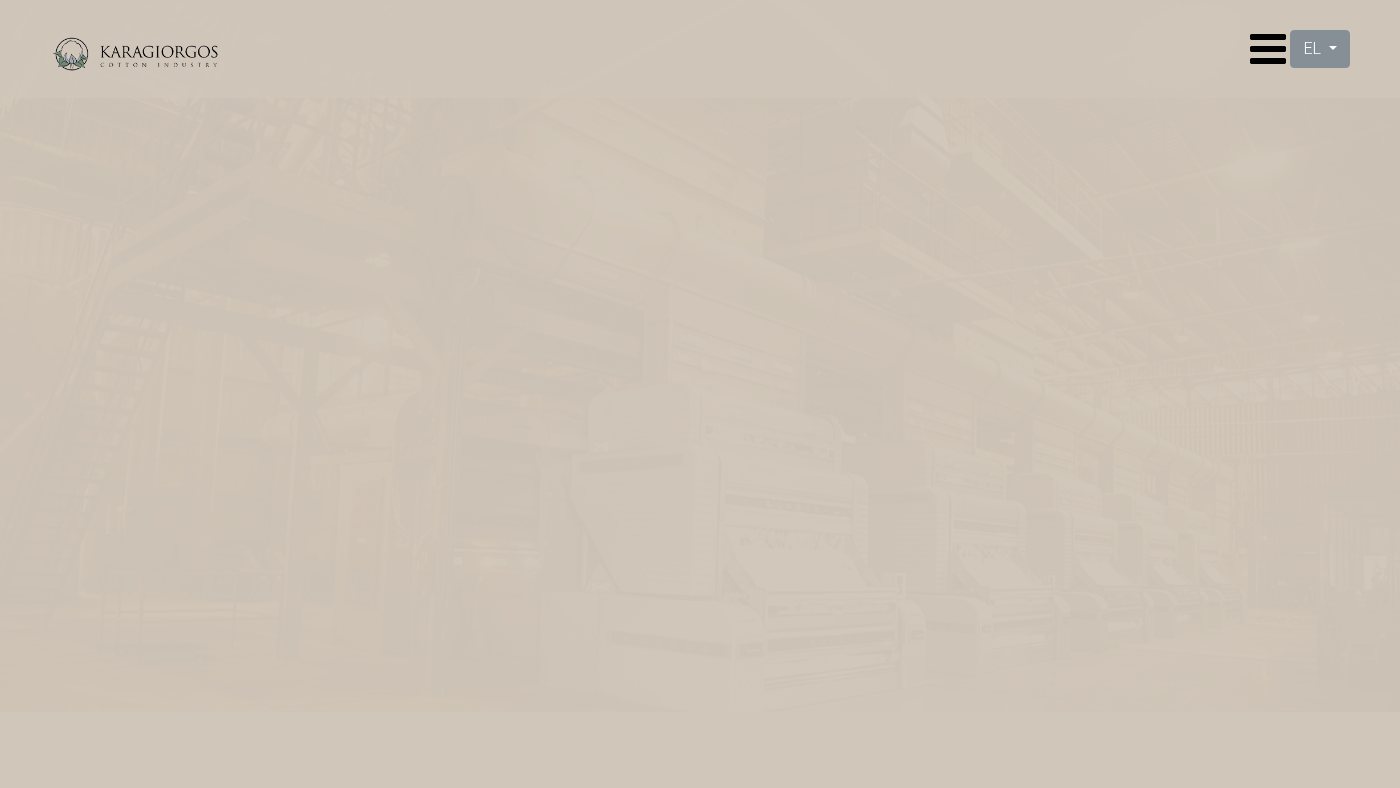 The home page of karagiorgos.gr