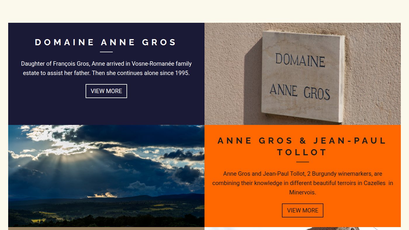 The home page of anne-gros.com