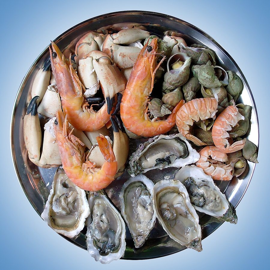 Stanford scientists discover a seafood that can reverse signs of aging