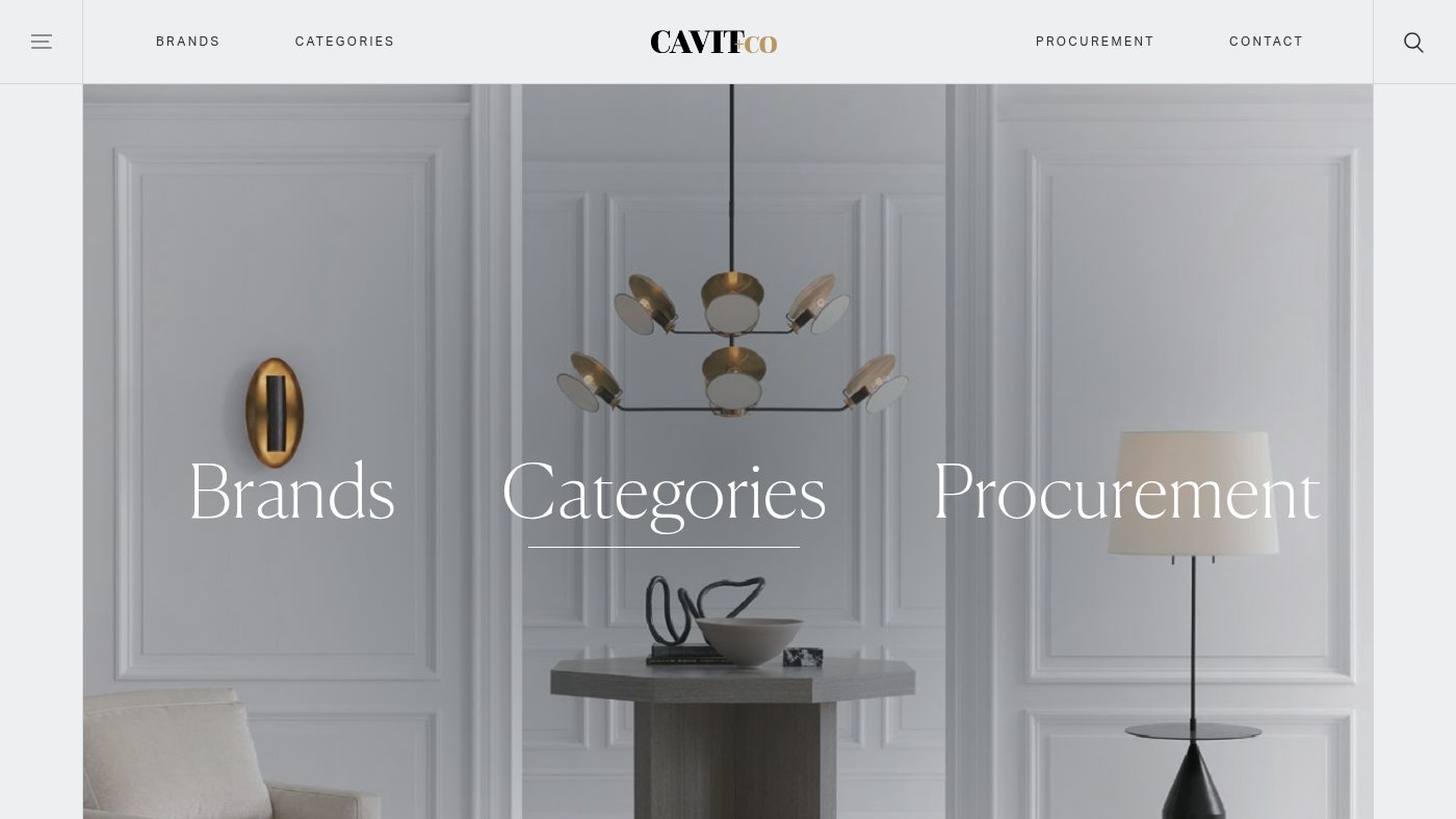 The home page of cavitco.com