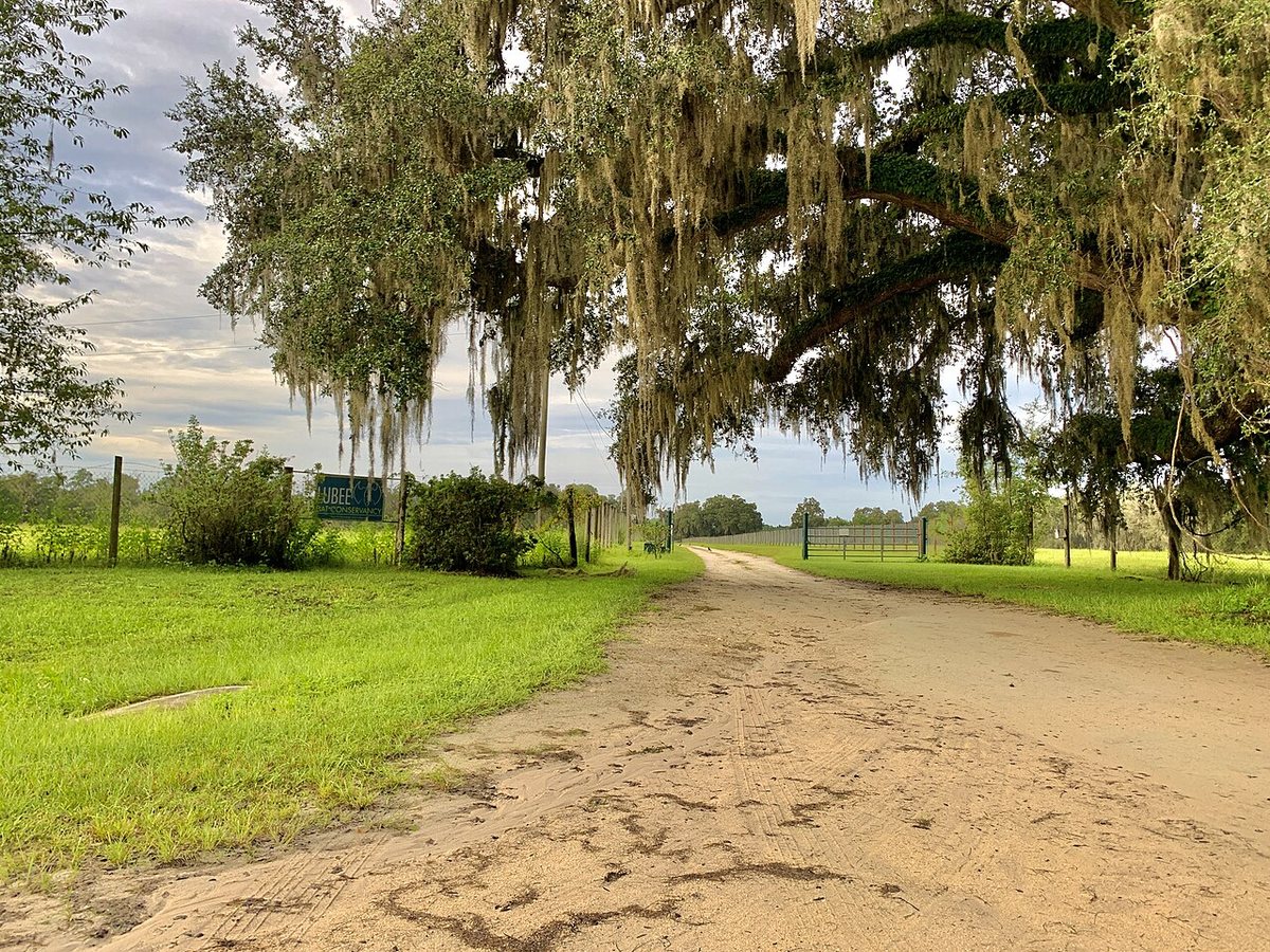 Lubee Bat Conservancy  in Gainesville, Florida