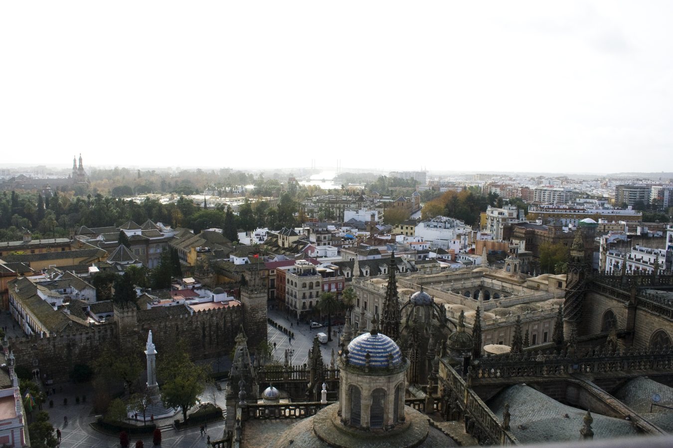 Interceptan en Sevilla 1.238 kilos de cocaína ocultos entre cocos