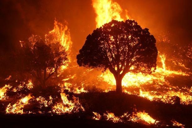 Rapid climate change brings wildfire threat to new corners of Europe