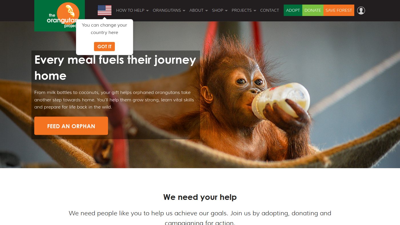 The home page of theorangutanproject.org