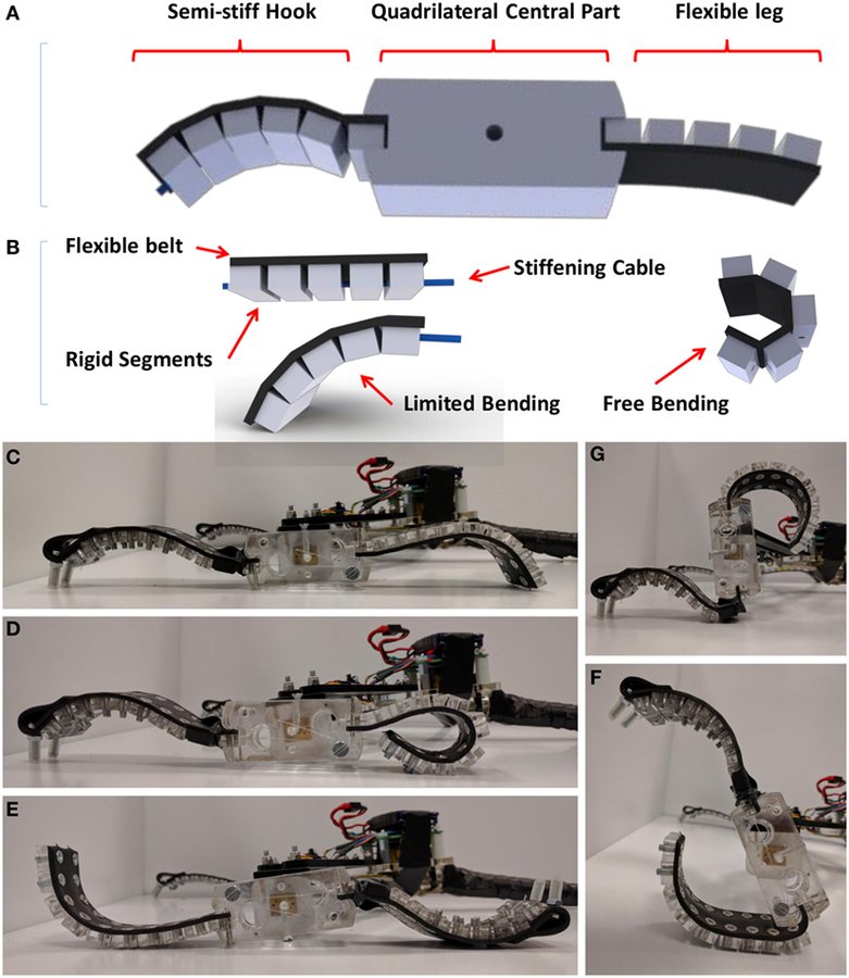 Robotic Material Synchronizes Without a Clock: The Future of Soft Robotics