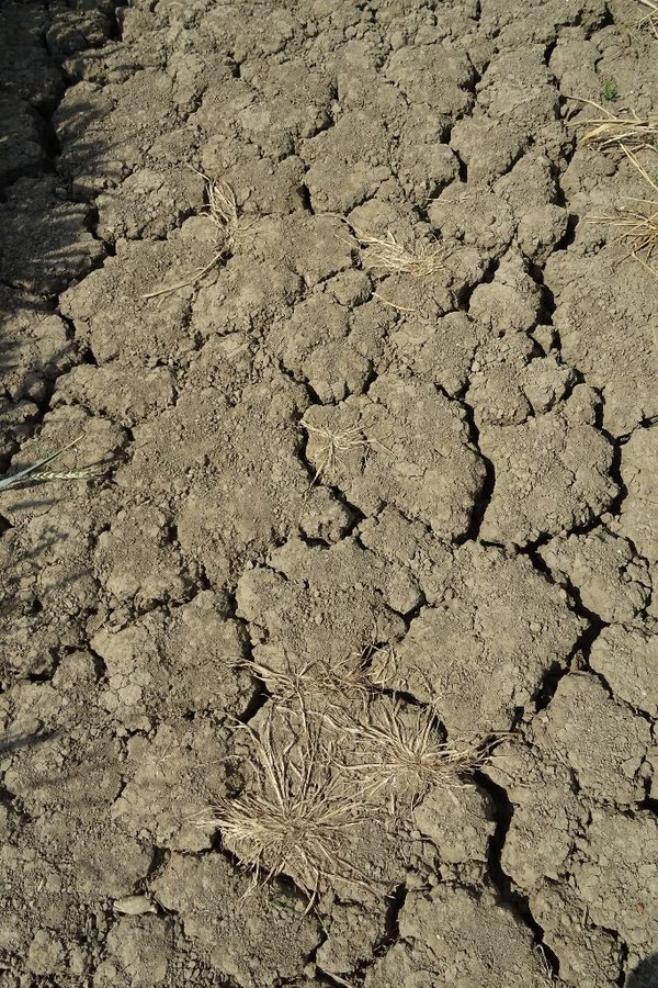 The UK just had its hottest summer ever