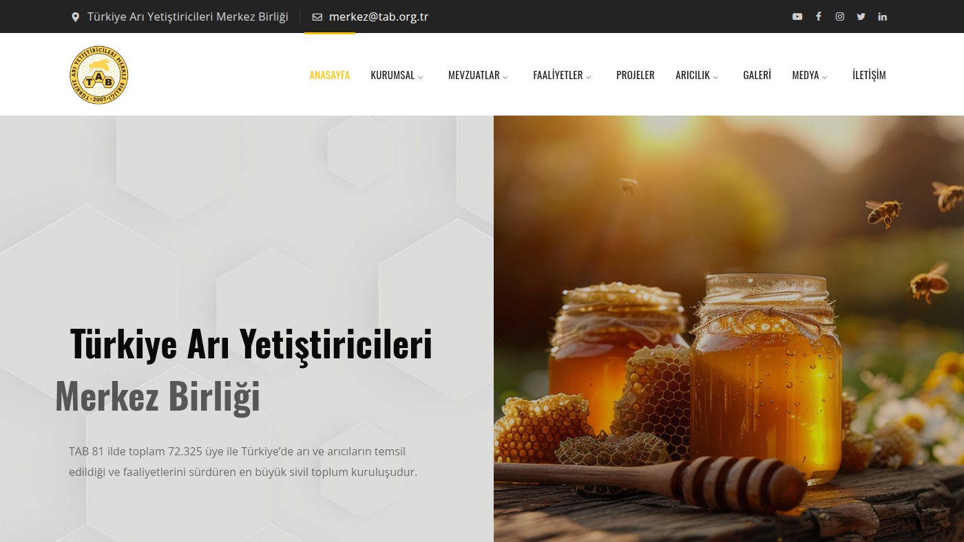 The home page of tab.org.tr