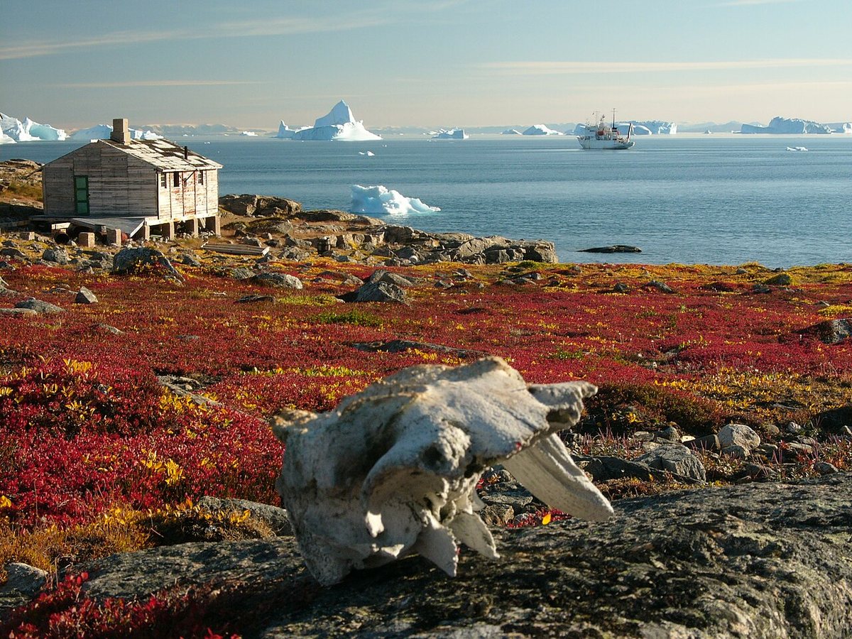 Can an entire Arctic ecosystem evolve to adapt to the climate crisis?