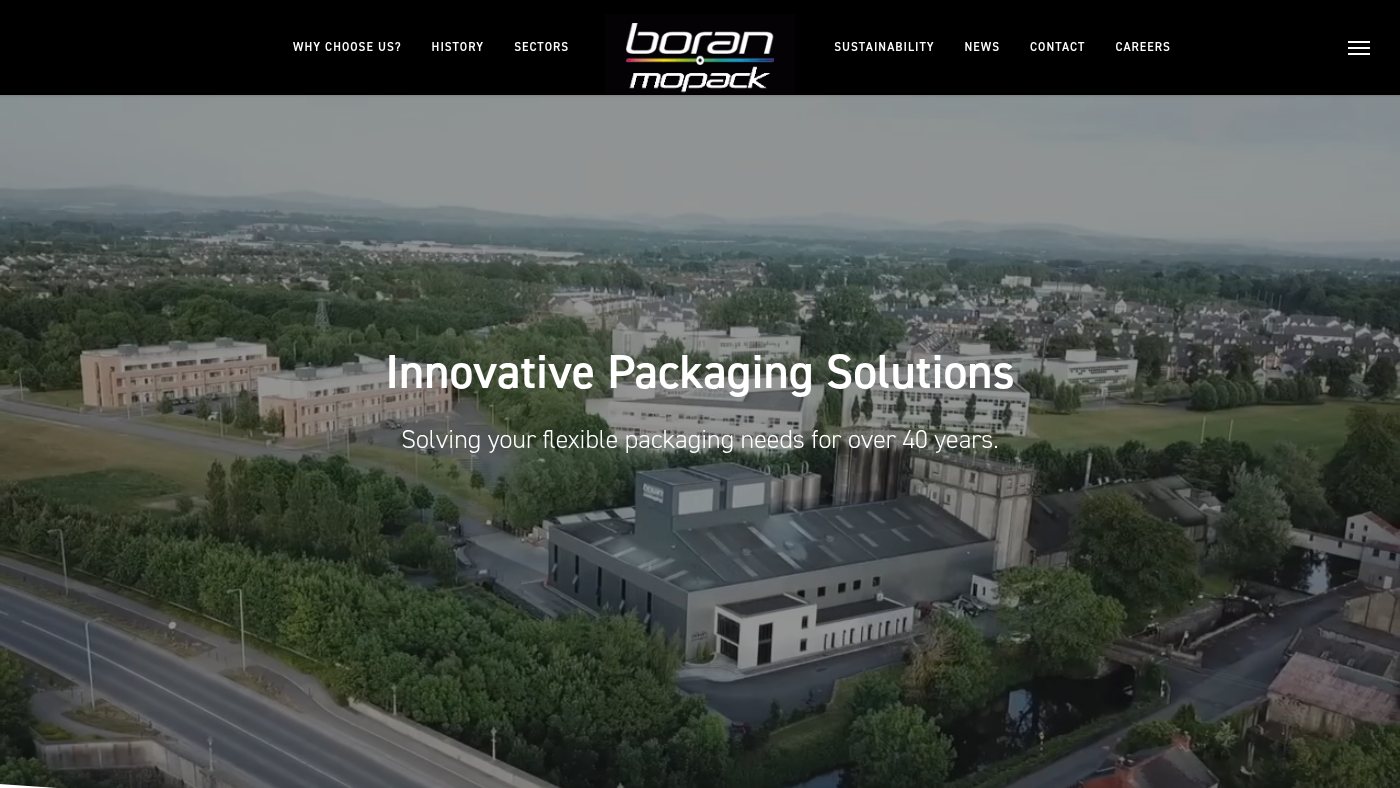 The home page of boran.ie