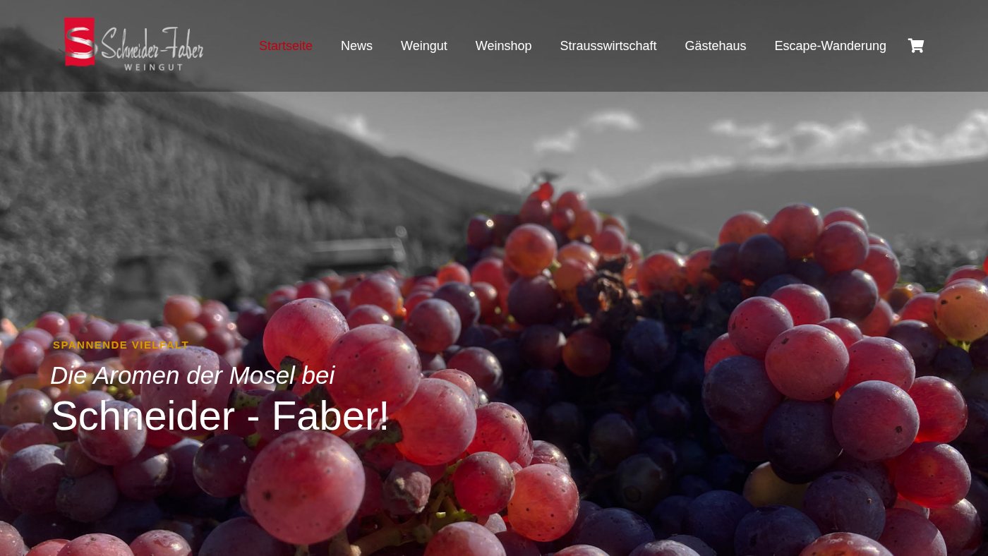 The home page of schneider-faber.de