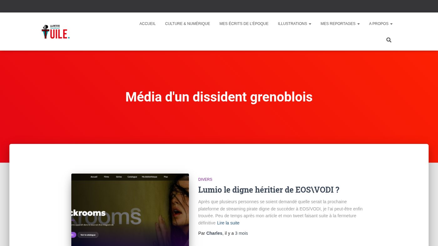 The home page of lapetitetuile.fr