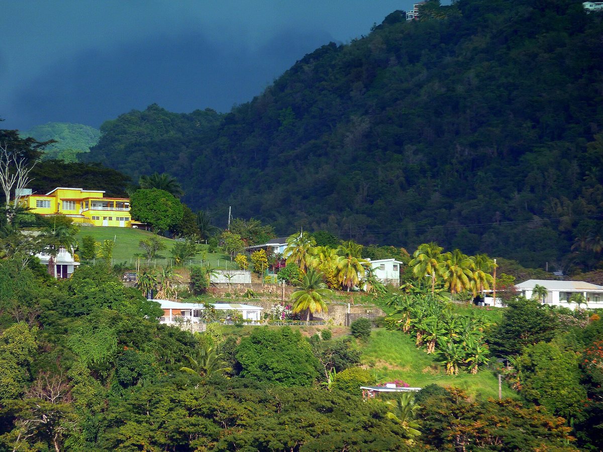 Death announcement of Andrie “Audrey” Francis (née Williams), affectionately known as “Ma Mark”, aged 79, of Caribe Delices, who resided at Upper Kings Hill. Audrey passed away peacefully on Saturday, August 22, 2026, at the Dominica China Friendship Hosp
