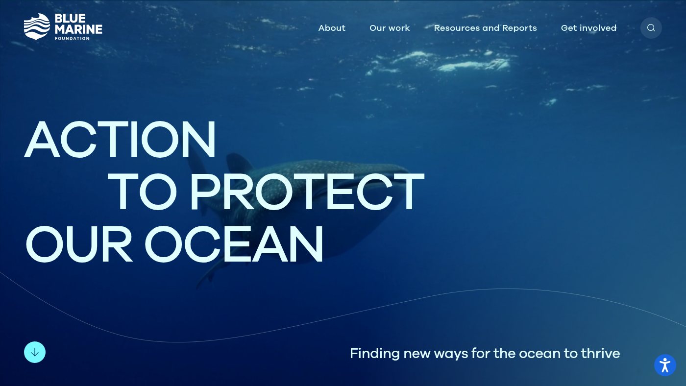 The home page of bluemarinefoundation.com