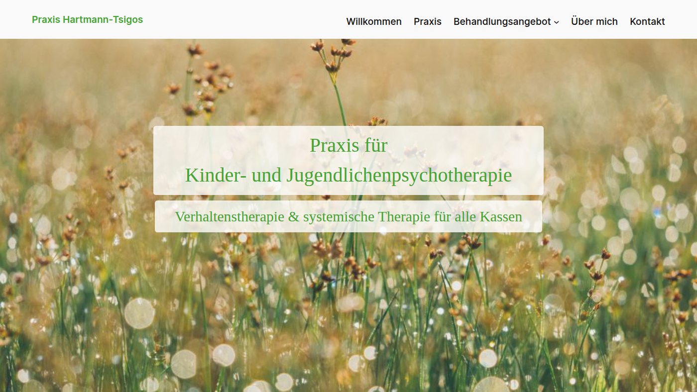 The home page of hartmann-tsigos.de
