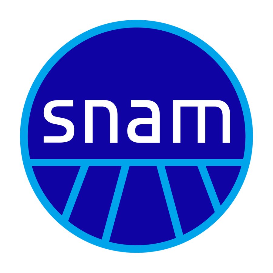 Industrie De Nora shares tumble after Snam cuts stake by 5%