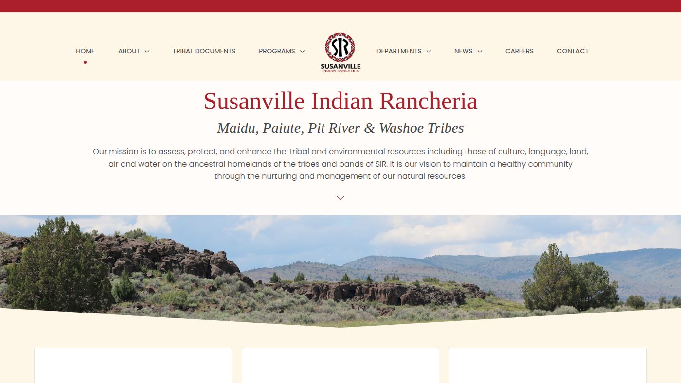 The home page of sir-nsn.gov