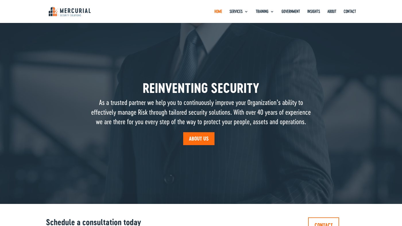 The home page of mercurial-security-solutions.com
